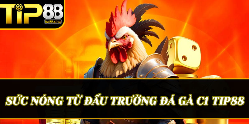 Sức nóng từ đấu trường Đá gà C1 Tip88 – Không dành cho những trái tim yếu đuối