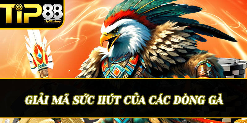 Giải mã sức hút của các dòng gà "sát thủ" trên sàn đấu Tip88