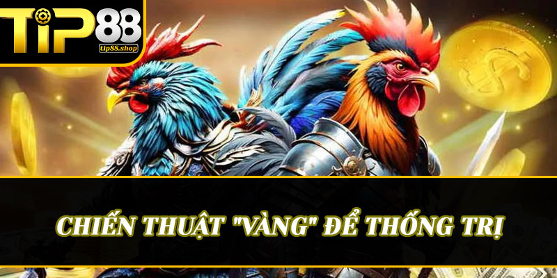 Chiến thuật "vàng" để thống trị sảnh Đá gà C1 tại Tip88